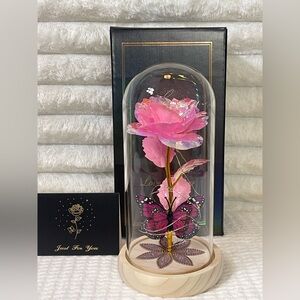 Giftable Pink Enchanted Rose in Glass Dome with Box and 3 AAA Batteries